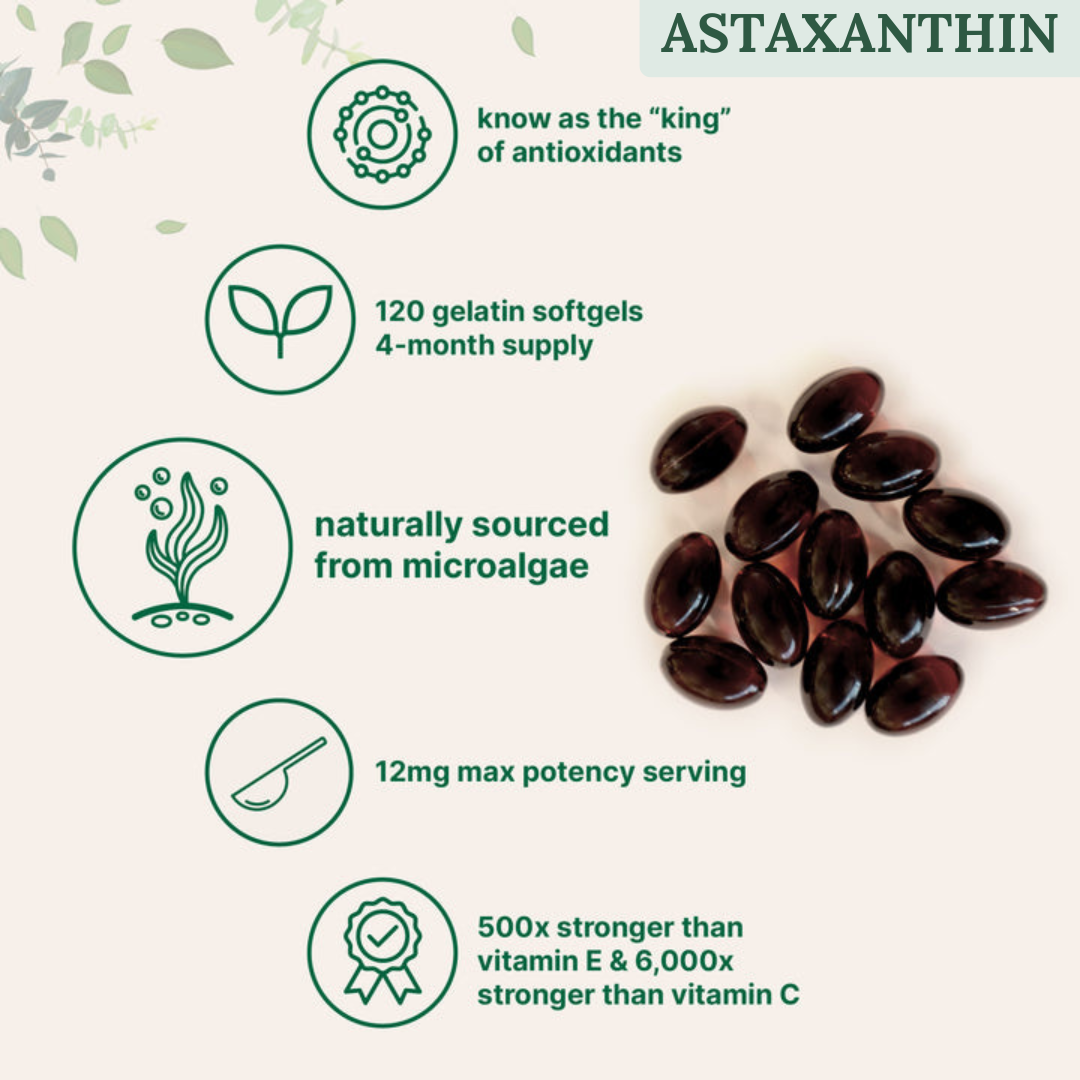 Full Spectrum Hair Bundle